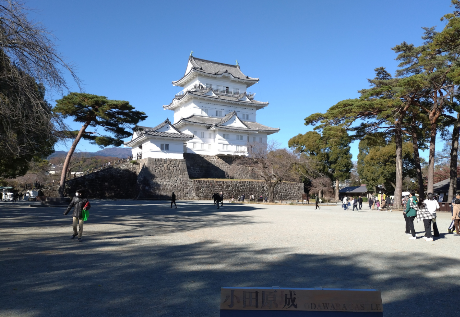 現在の小田原城