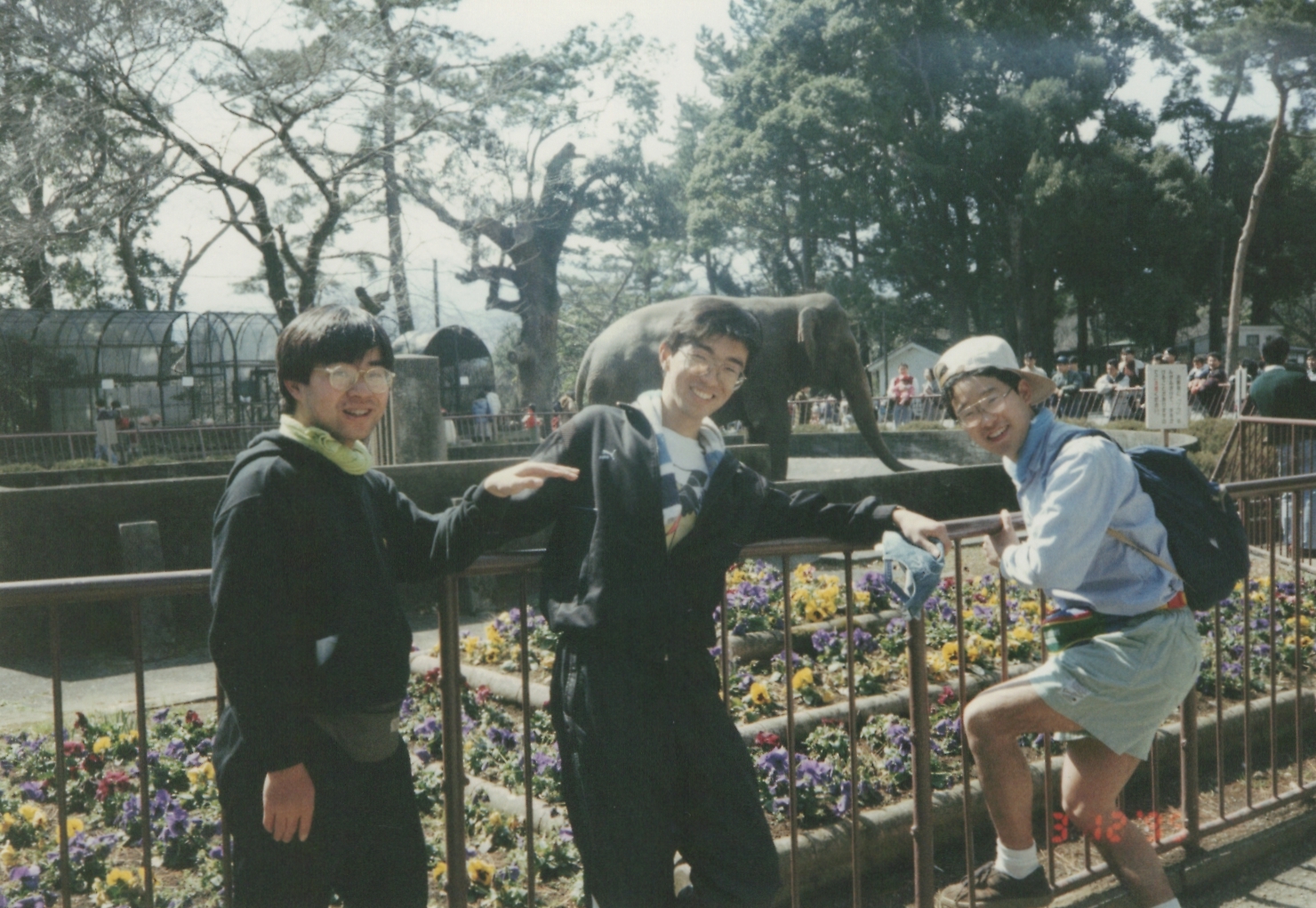 1995年当時の小田原城